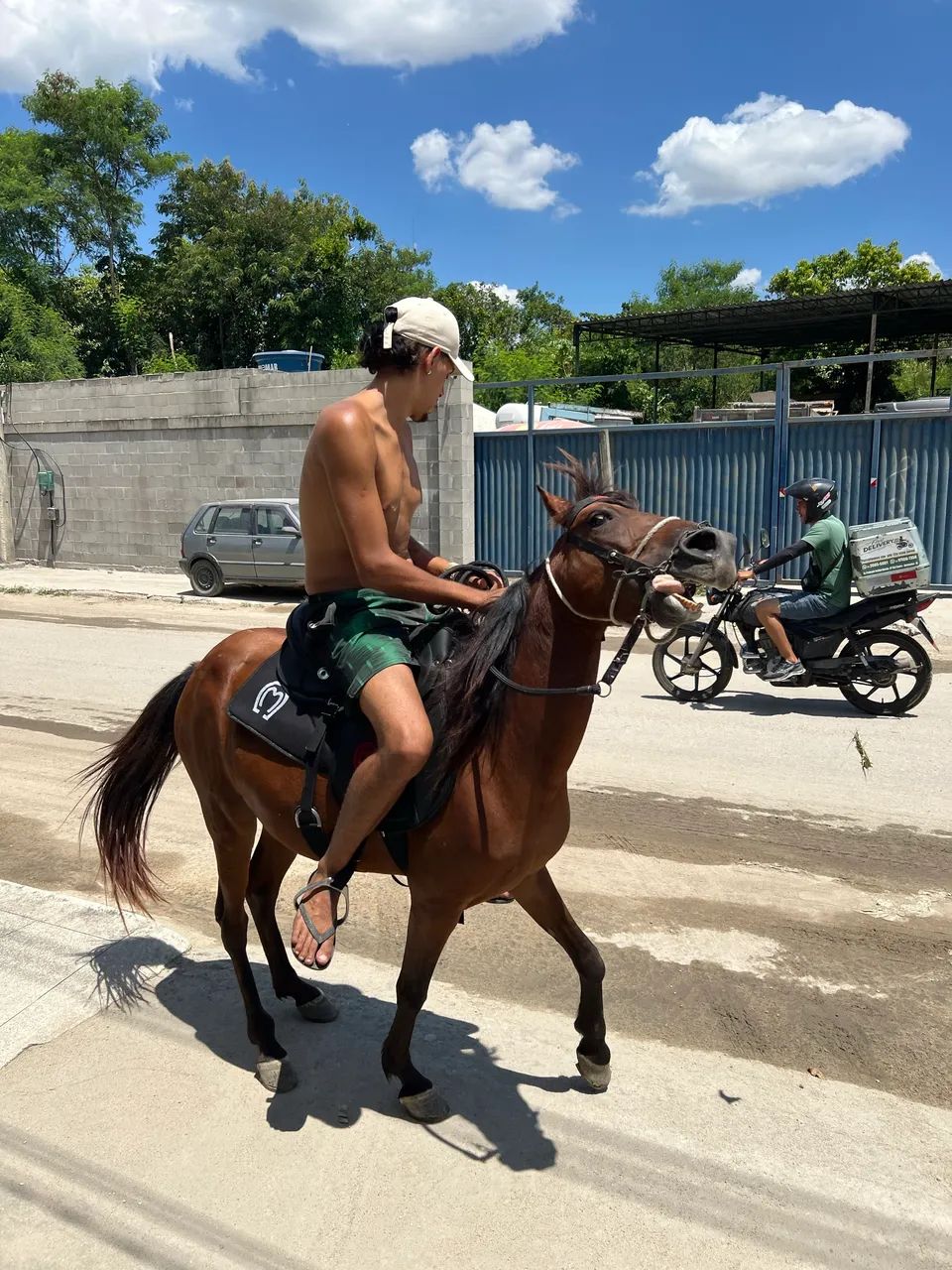VENDO ÉGUA E POTRO COM 6 MESES - Foto 3