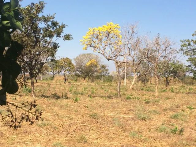 Lote no Lago Serra da Mesa - Foto 5