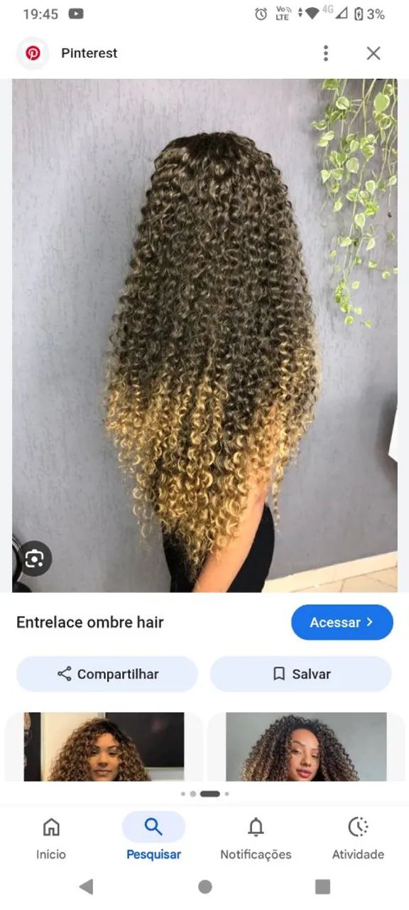 trancista  - Foto 2