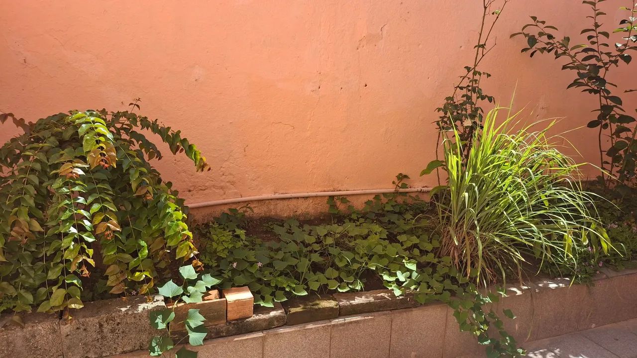   Ermelino matarazzo vendo 04 casa ja com renda garantida  - Foto 2