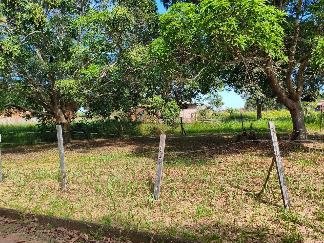 Terreno no Bom Jesus  - Foto 3