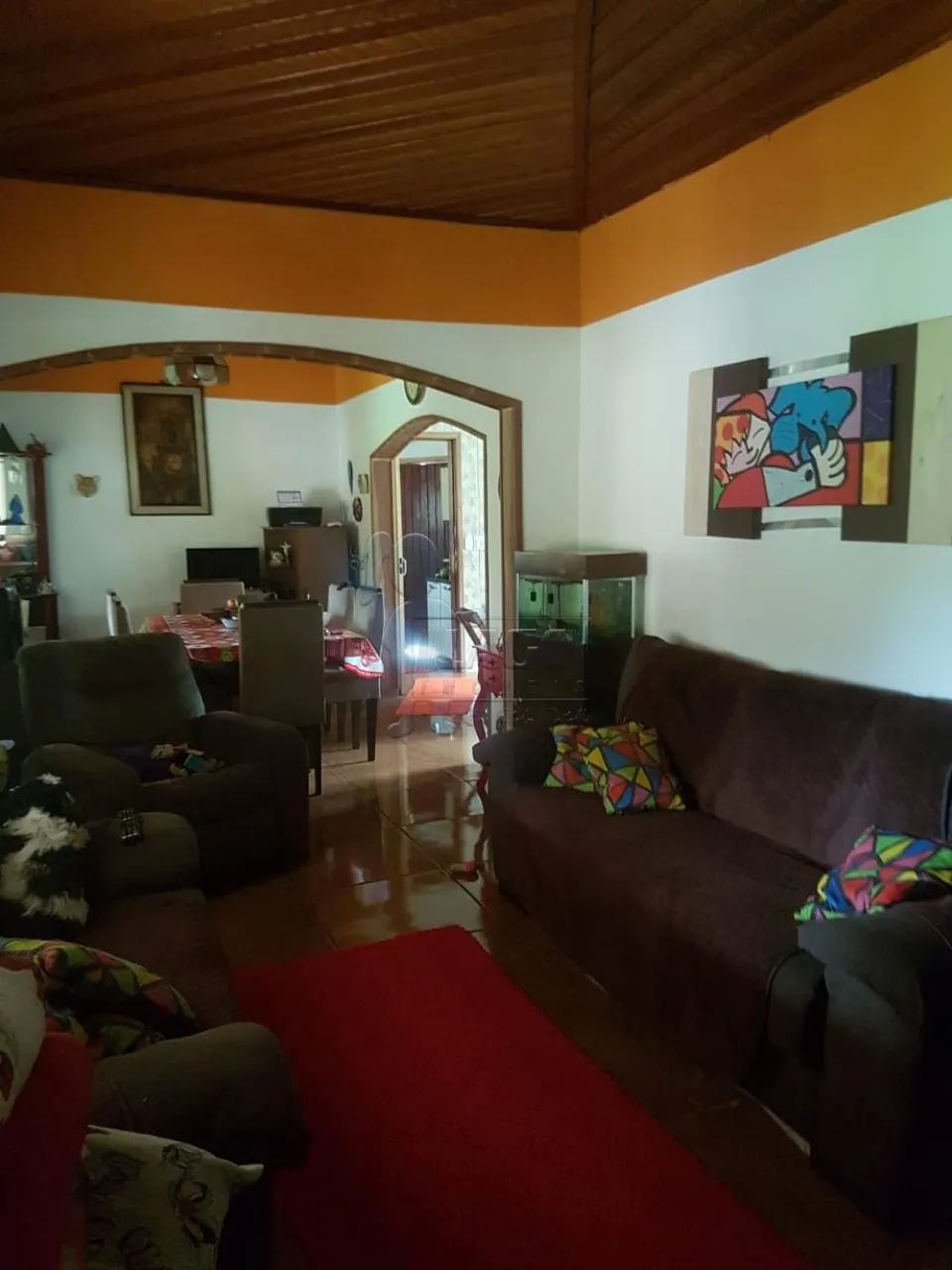 CHACARA EM SÃO SIMÃO - Foto 2