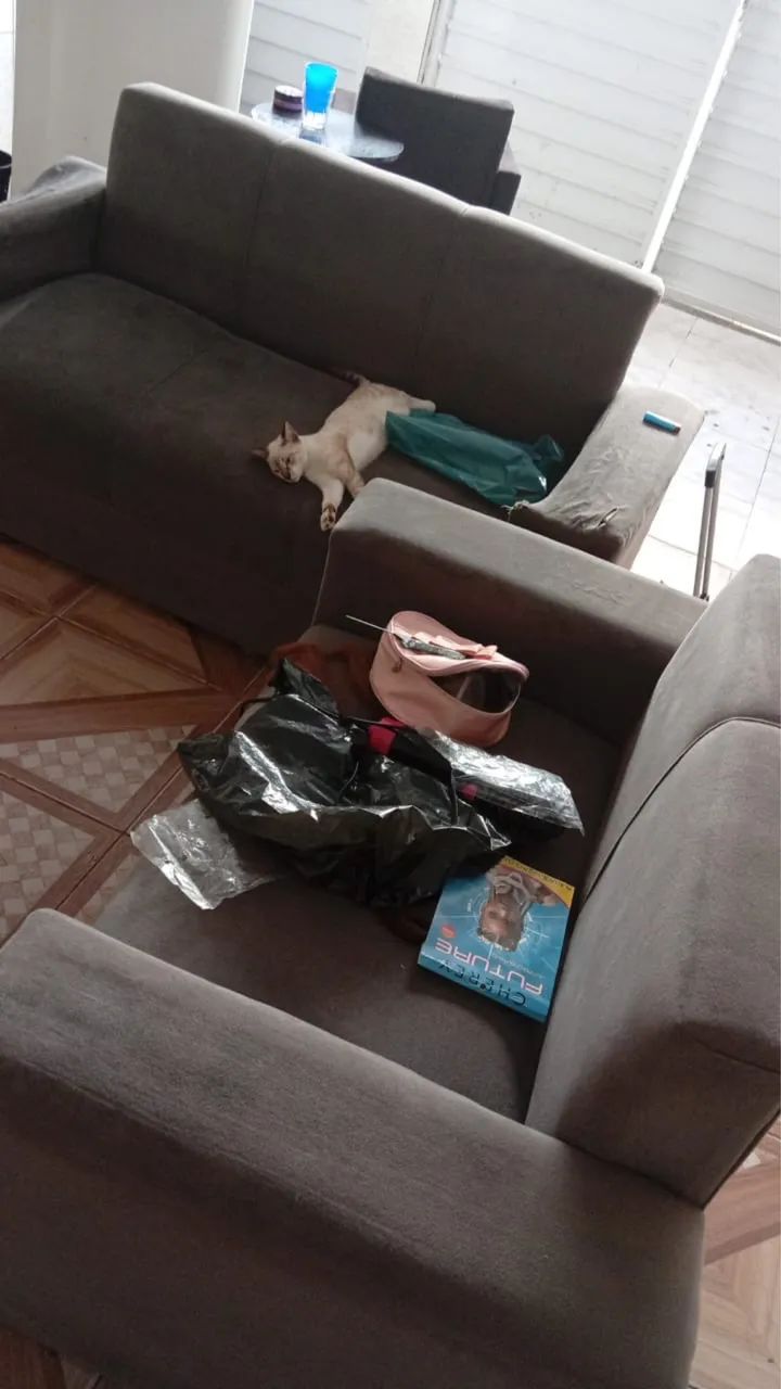 Sofa439340453646848000