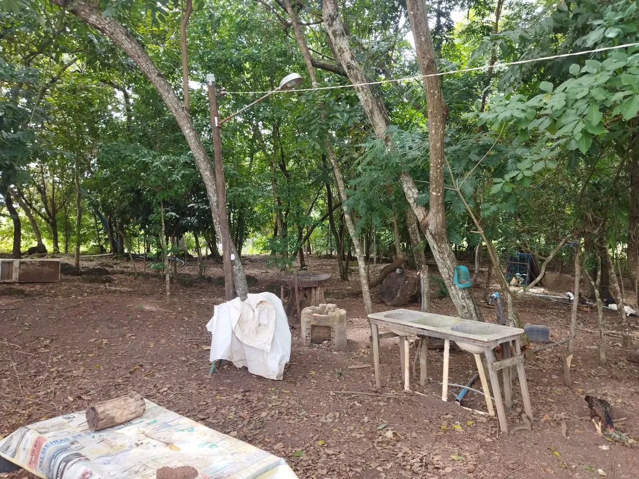 Chácara a venda  - Foto 5