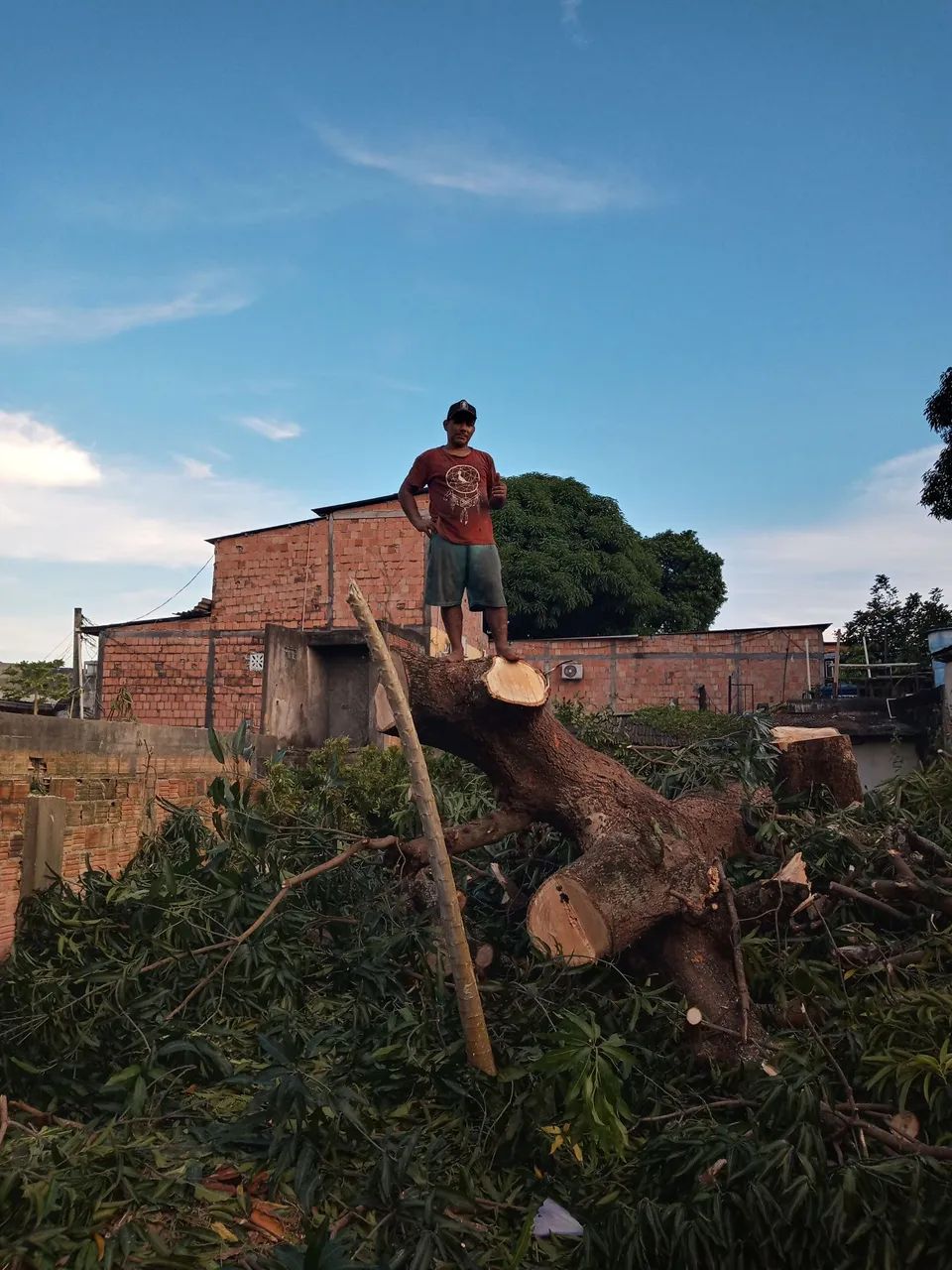 Faça poldagem , e remoçao em qualquer canto da cidade
