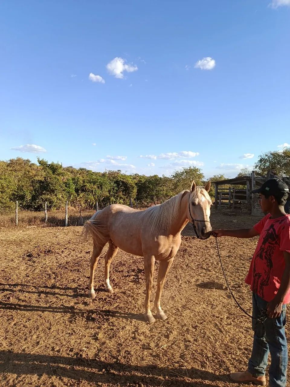 vendo  - Foto 2