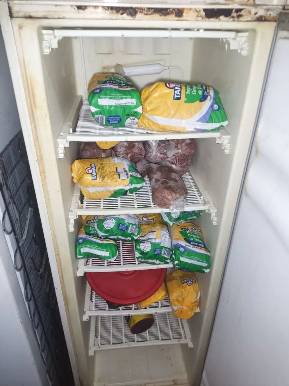 Freezer  - Foto 2