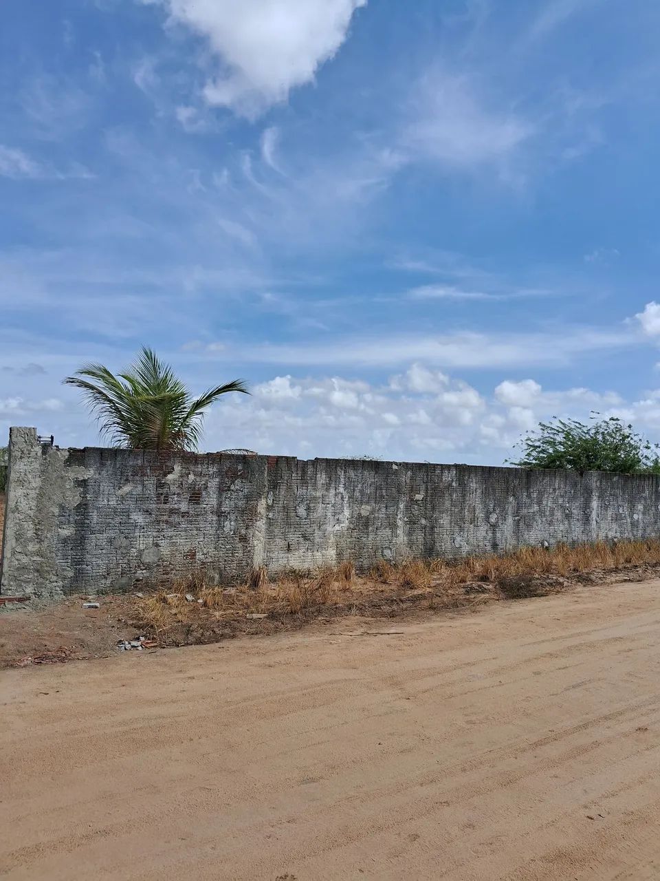 Terreno em Macaiba  - Foto 3