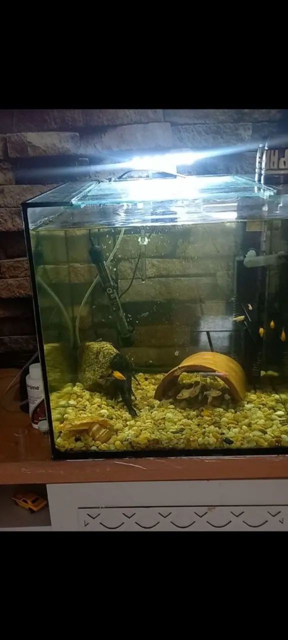 Aquário 64 litros - Foto 2