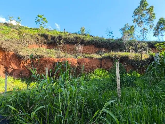 Foto - Nova Friburgo - Ypu