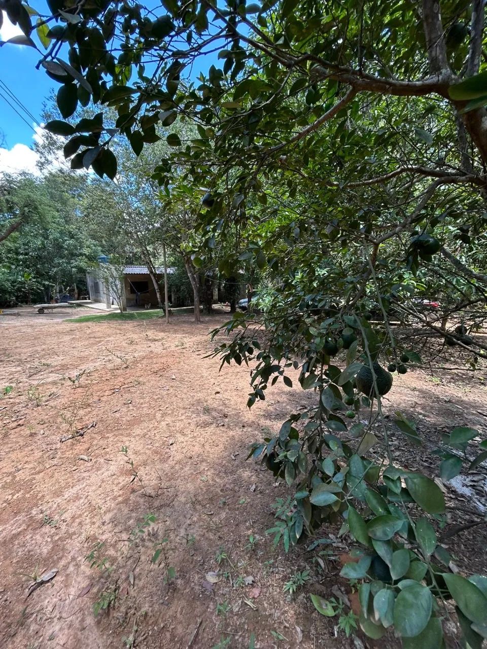 Foto - Brasília - Samambaia Norte
