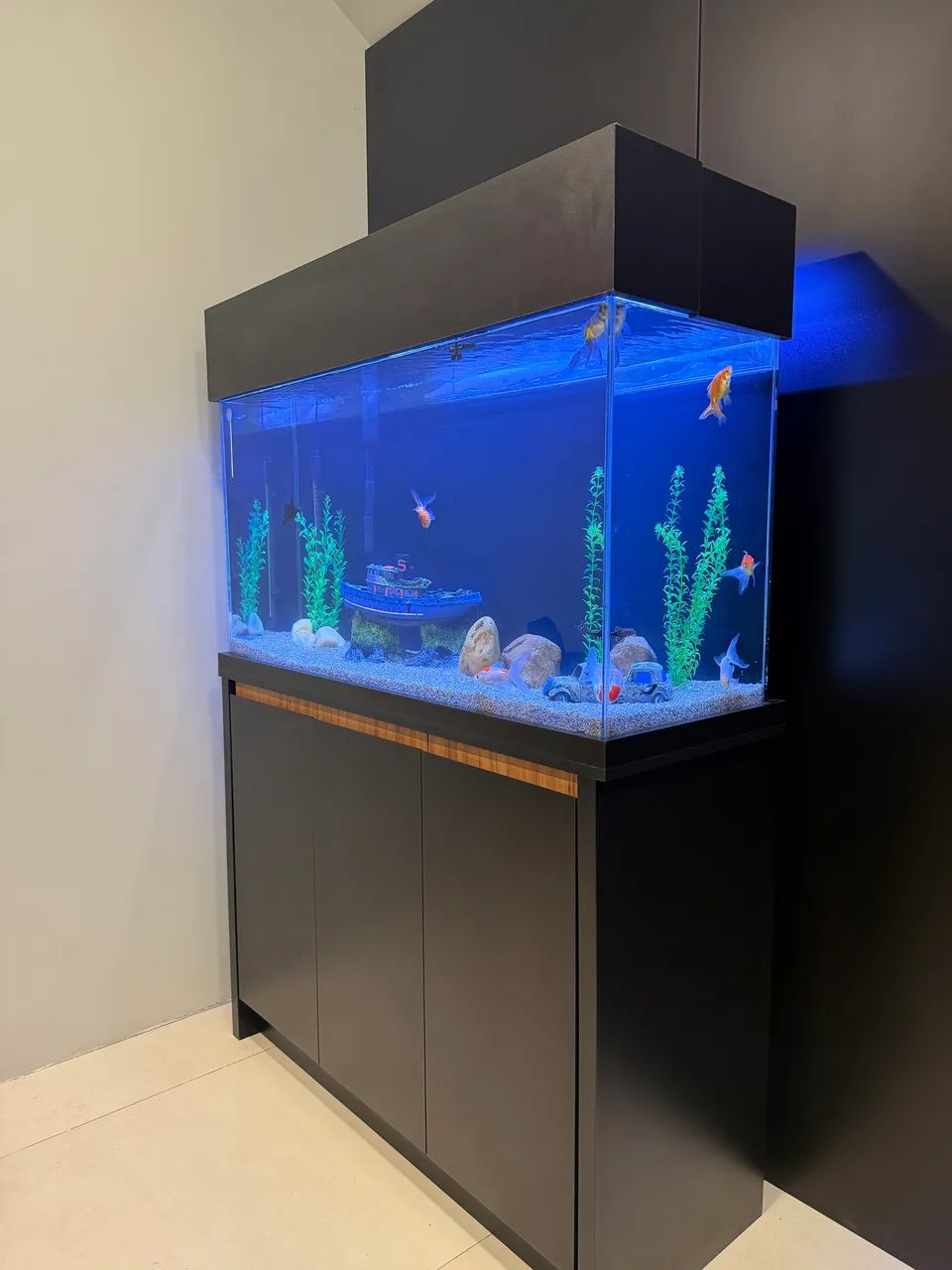 AQUARIO - Foto 3