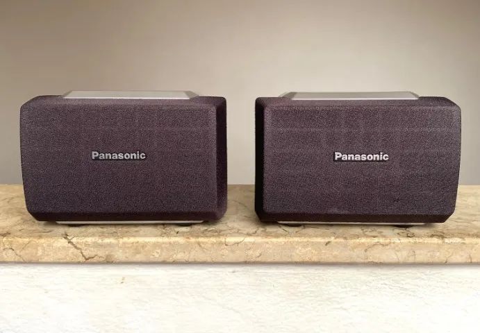 Caixa Som Panasonic Pc Multimídia Surround Home Falante Par
