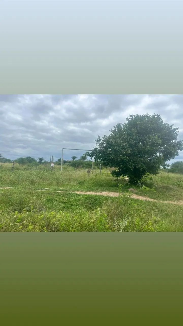 Tanquinho - Foto 2