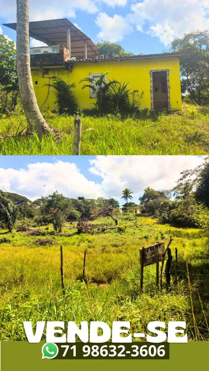 Sítio em Amado Bahia