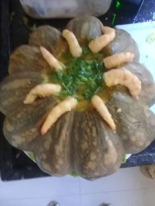 Cozinheira Diarista