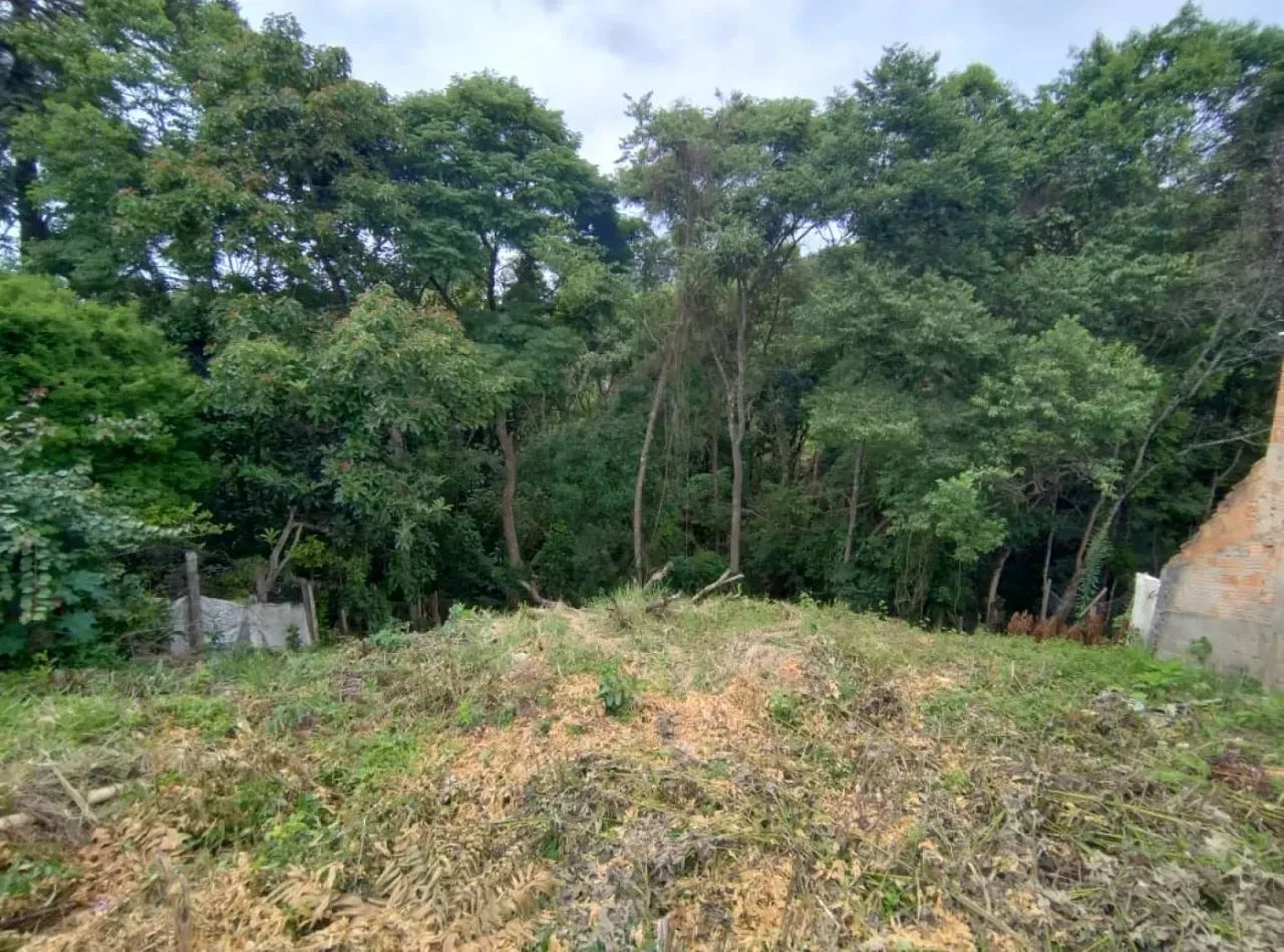Terrenos Padrão em Caldas - Foto 4