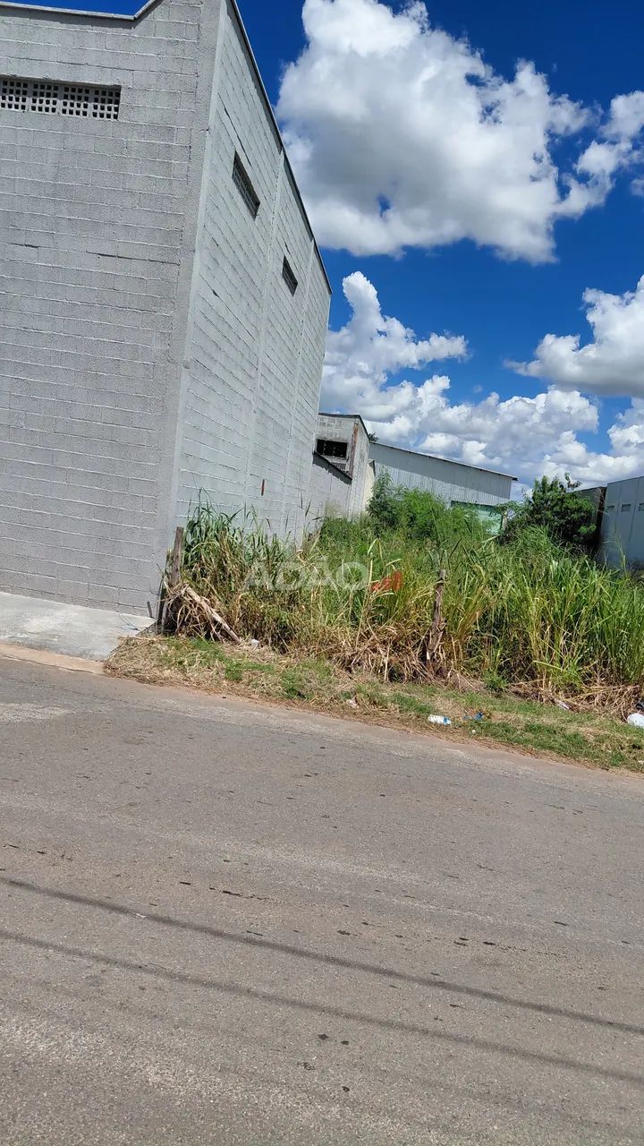 Lote proximo BR 153 - Foto 5