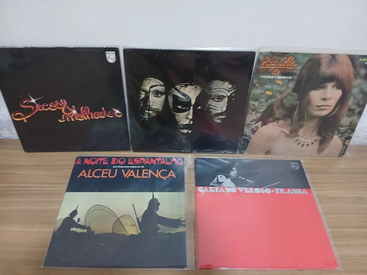Disco Vinil Rita Lee Caetano Alceu Secos e Molhados