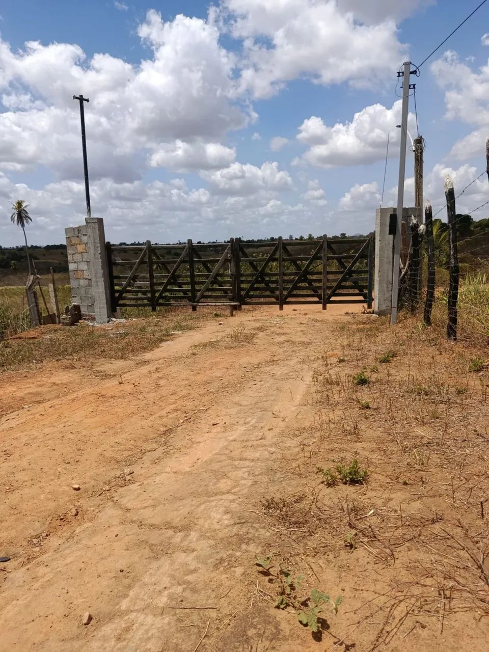 Fazenda 18 hectares *97)em feira nova Pernambuco 