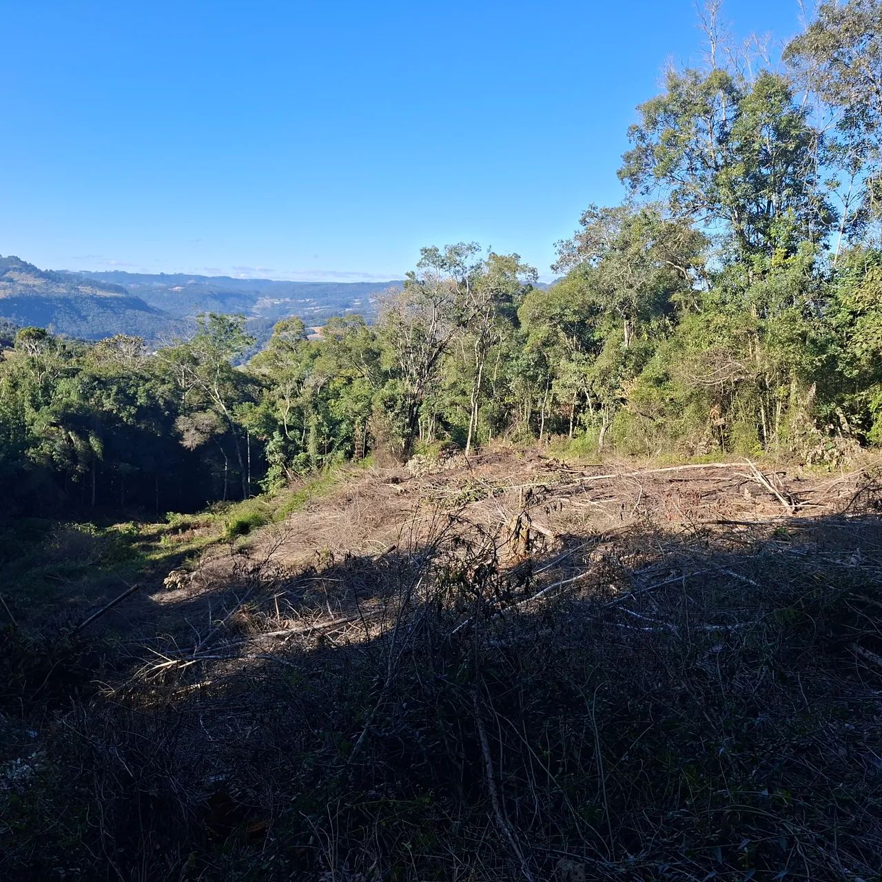 Terreno sítio  - Foto 3
