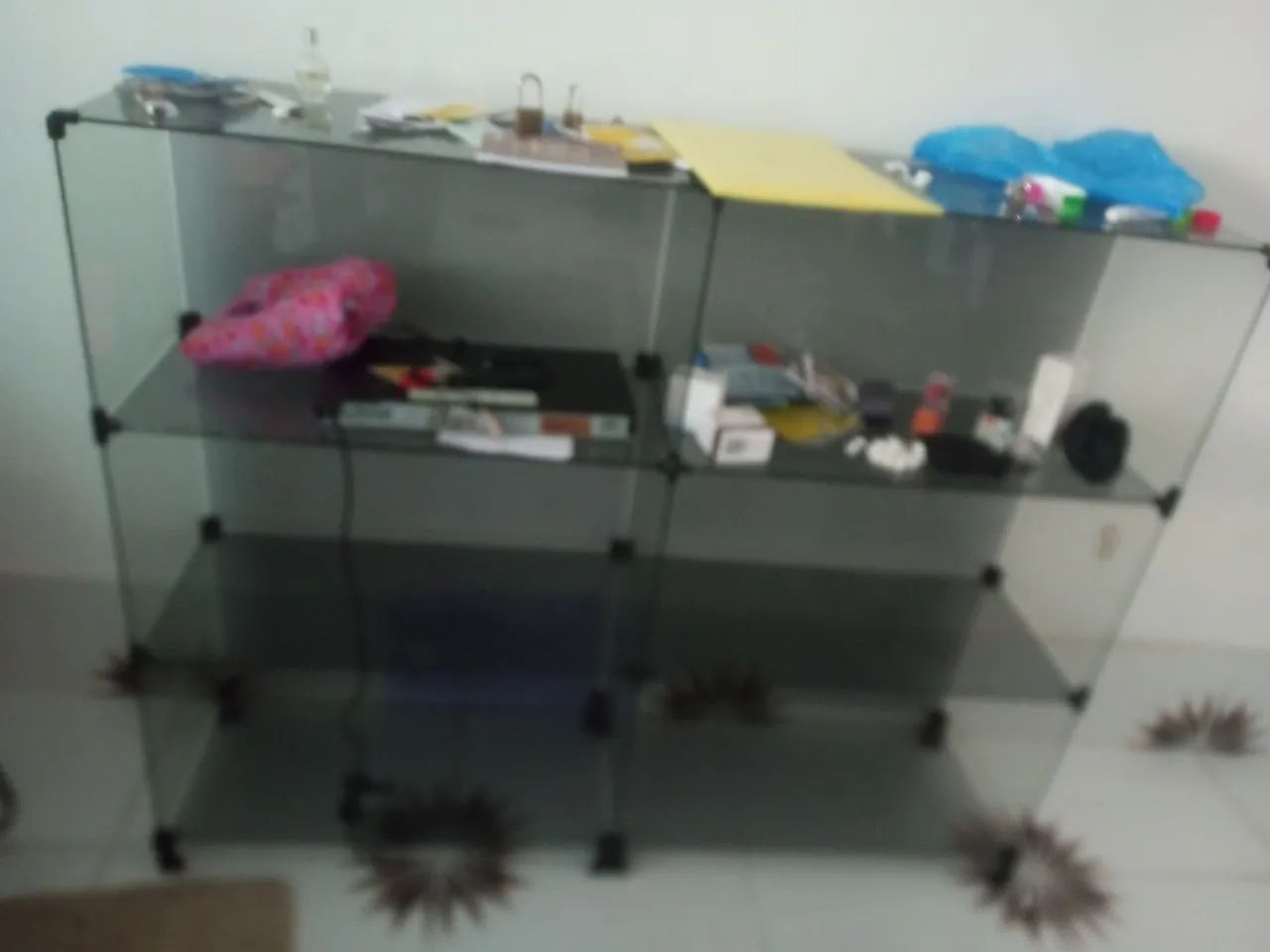 Vitrine 65048978588291120