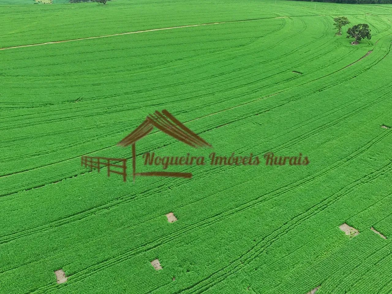 Fazenda com 100 alqueires em Avaré-SP - Foto 4
