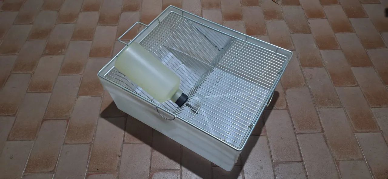Caixa de bioterio - Foto 4