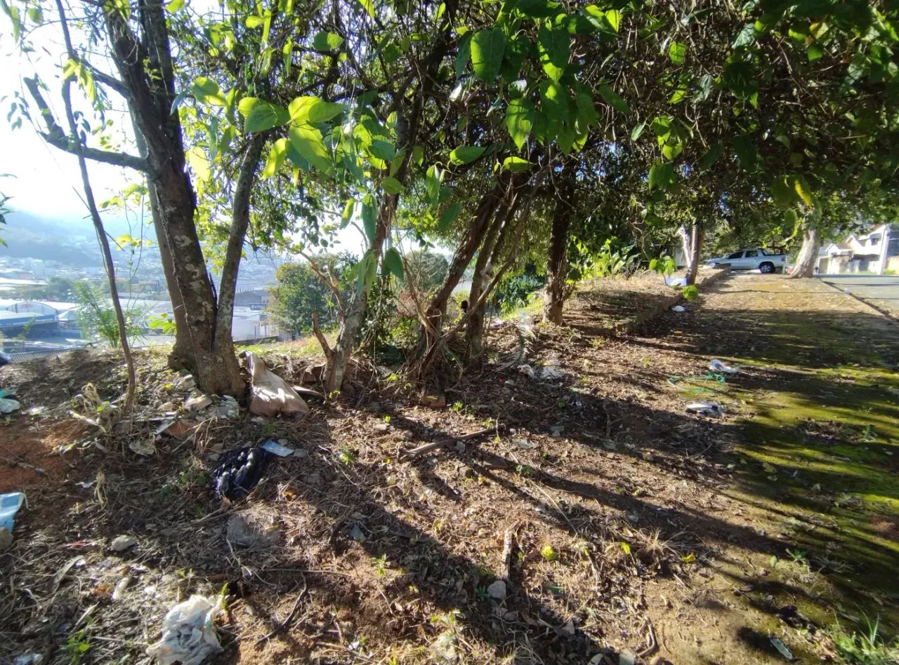 Terrenos Padrão em Poços de Caldas - Foto 3