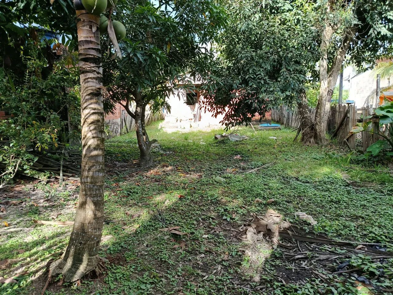 Casa - Foto 4