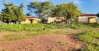 FAZENDA EM CODO - Foto 4