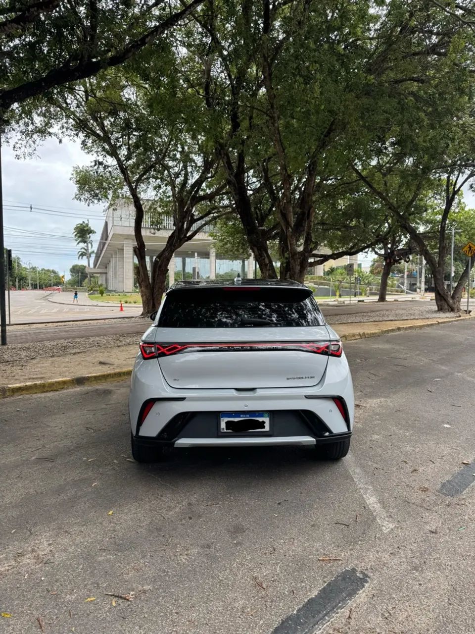 BYD Dolphin Plus (Elétrico) 2024 - Foto 4