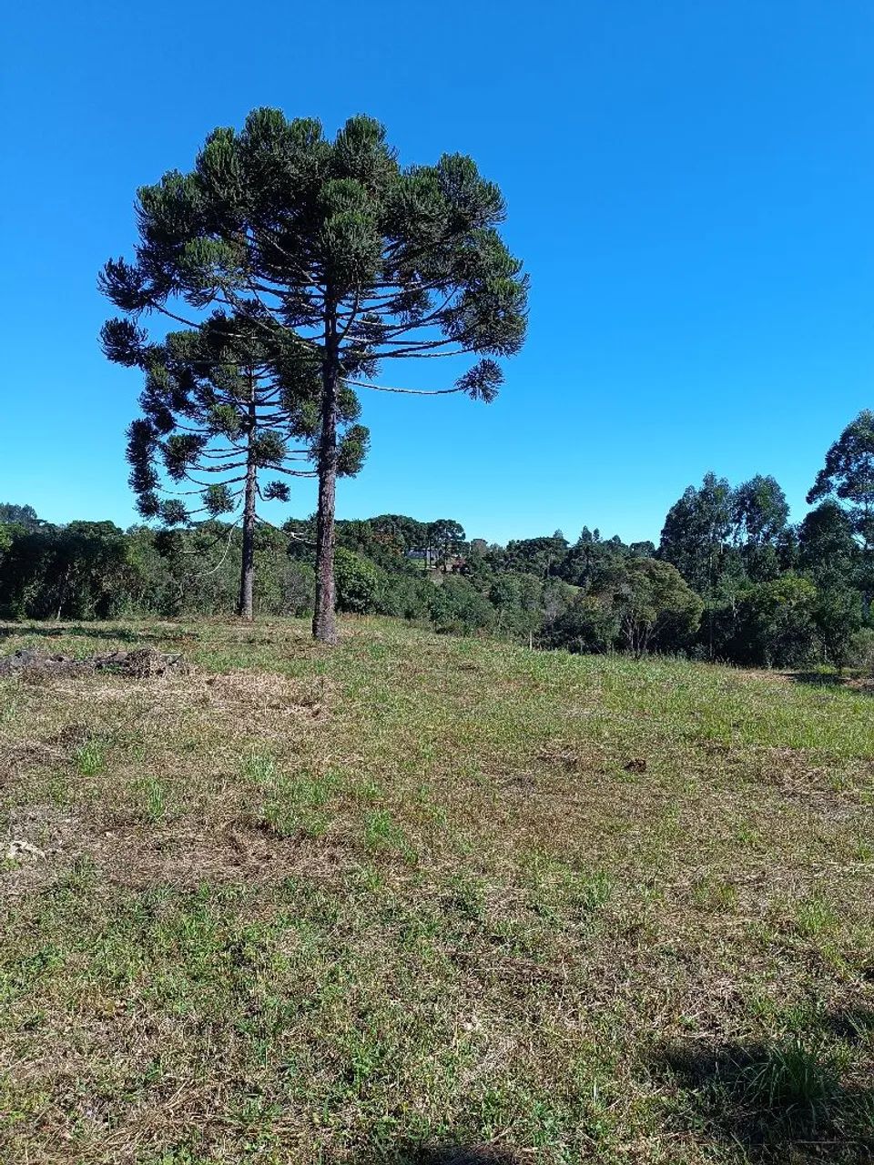 Terreno pra chácara  - Foto 4