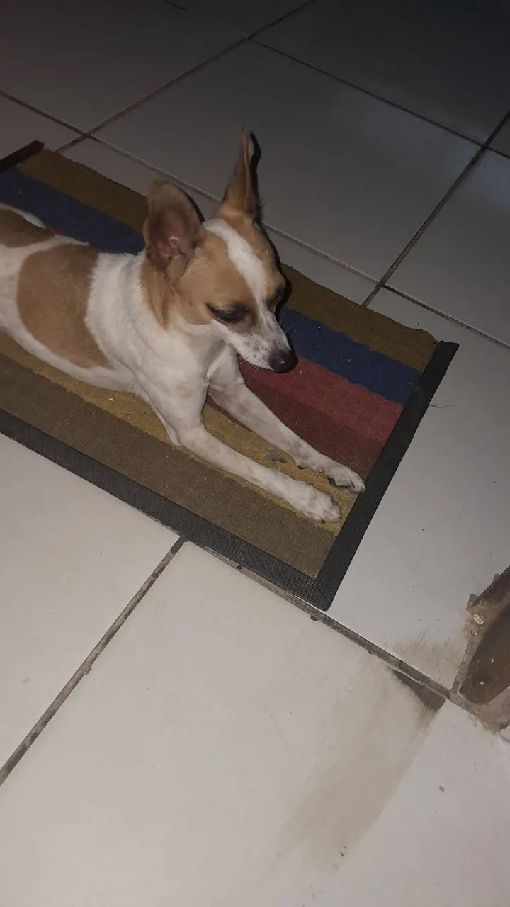 Doação  - Foto 3