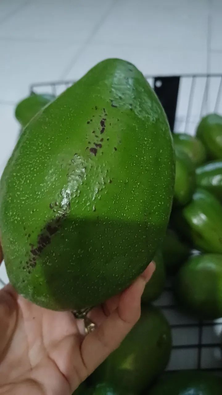 Abacates preço promocional  - Foto 2
