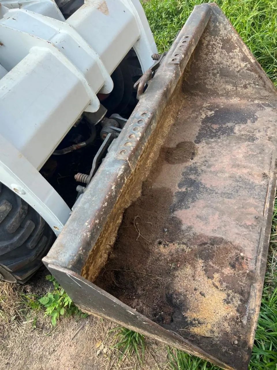 Bobcat - Foto 5