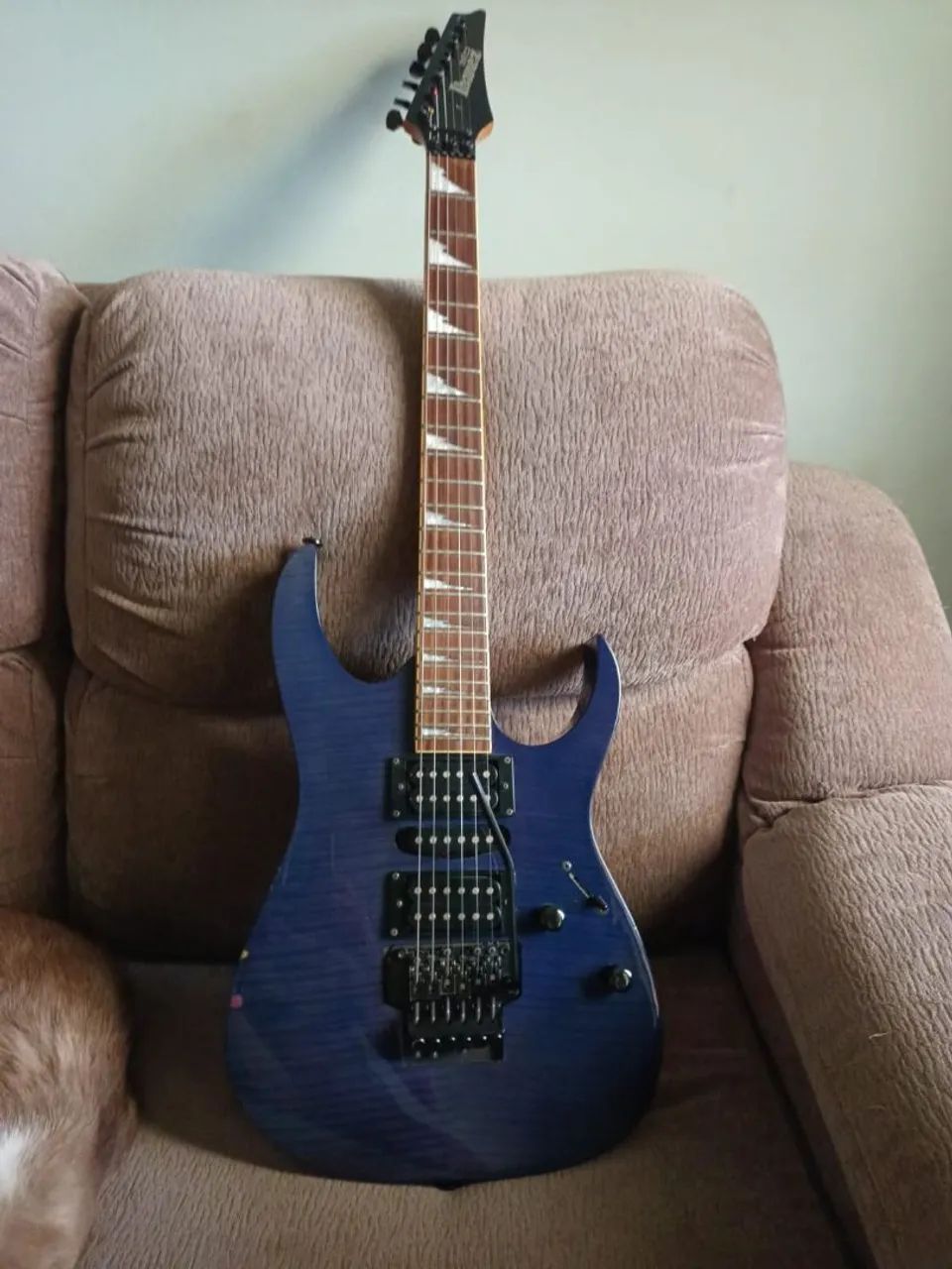Guitarra ibanez G10