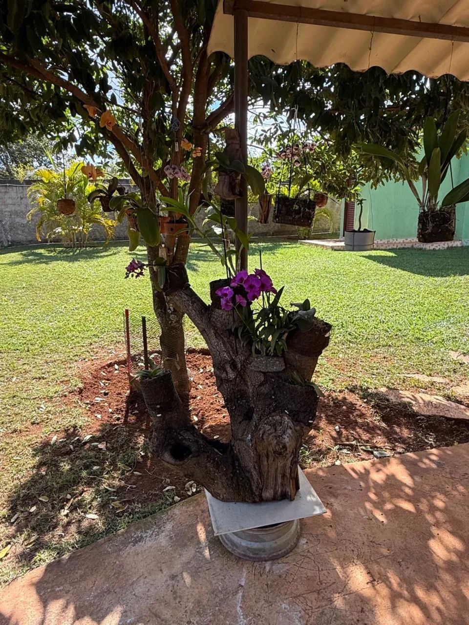 Vaga de Caseiro - Foto 3