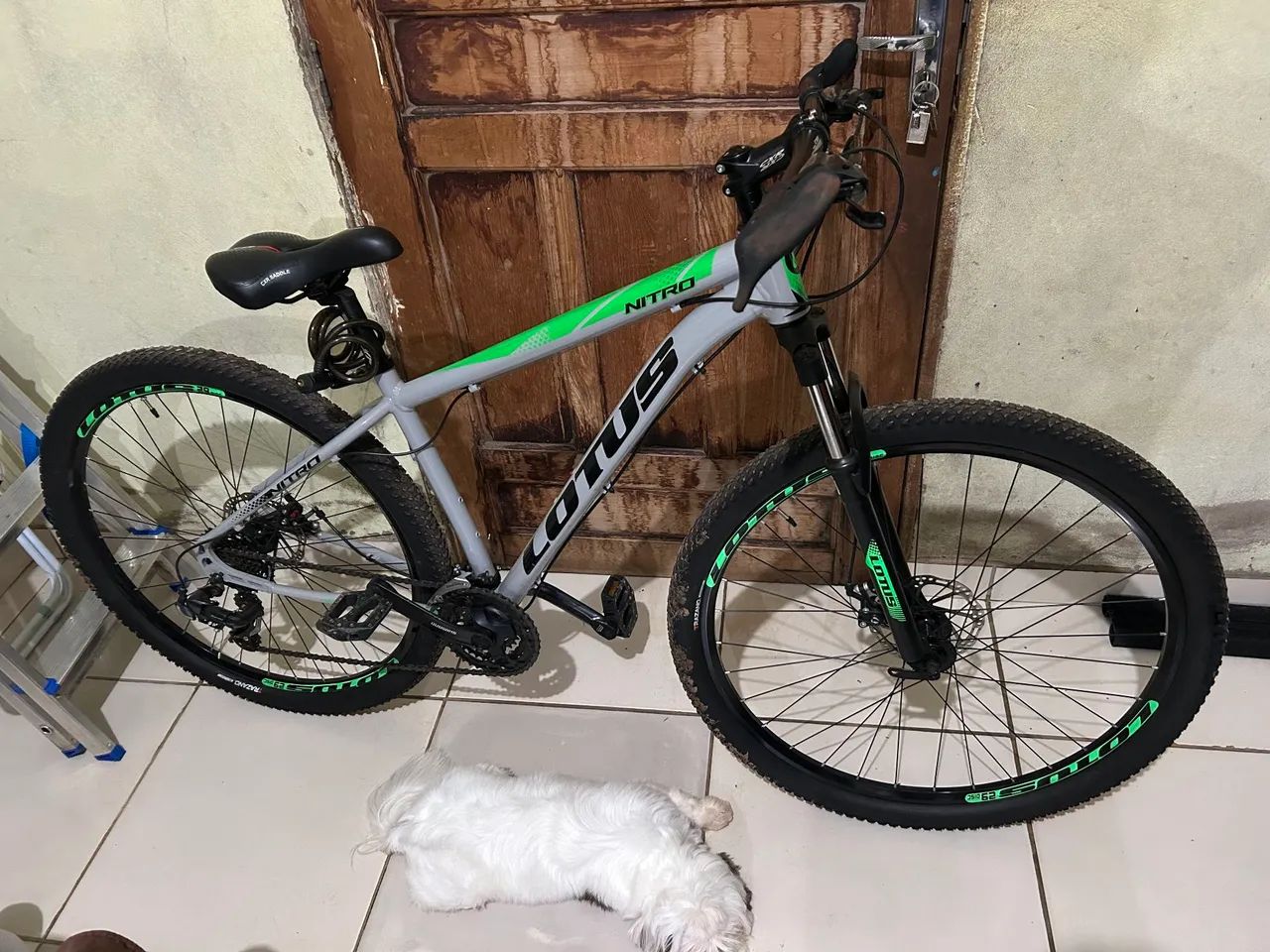 Bicicleta 