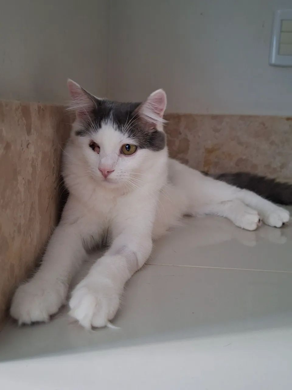 Adoção especial - Foto 3