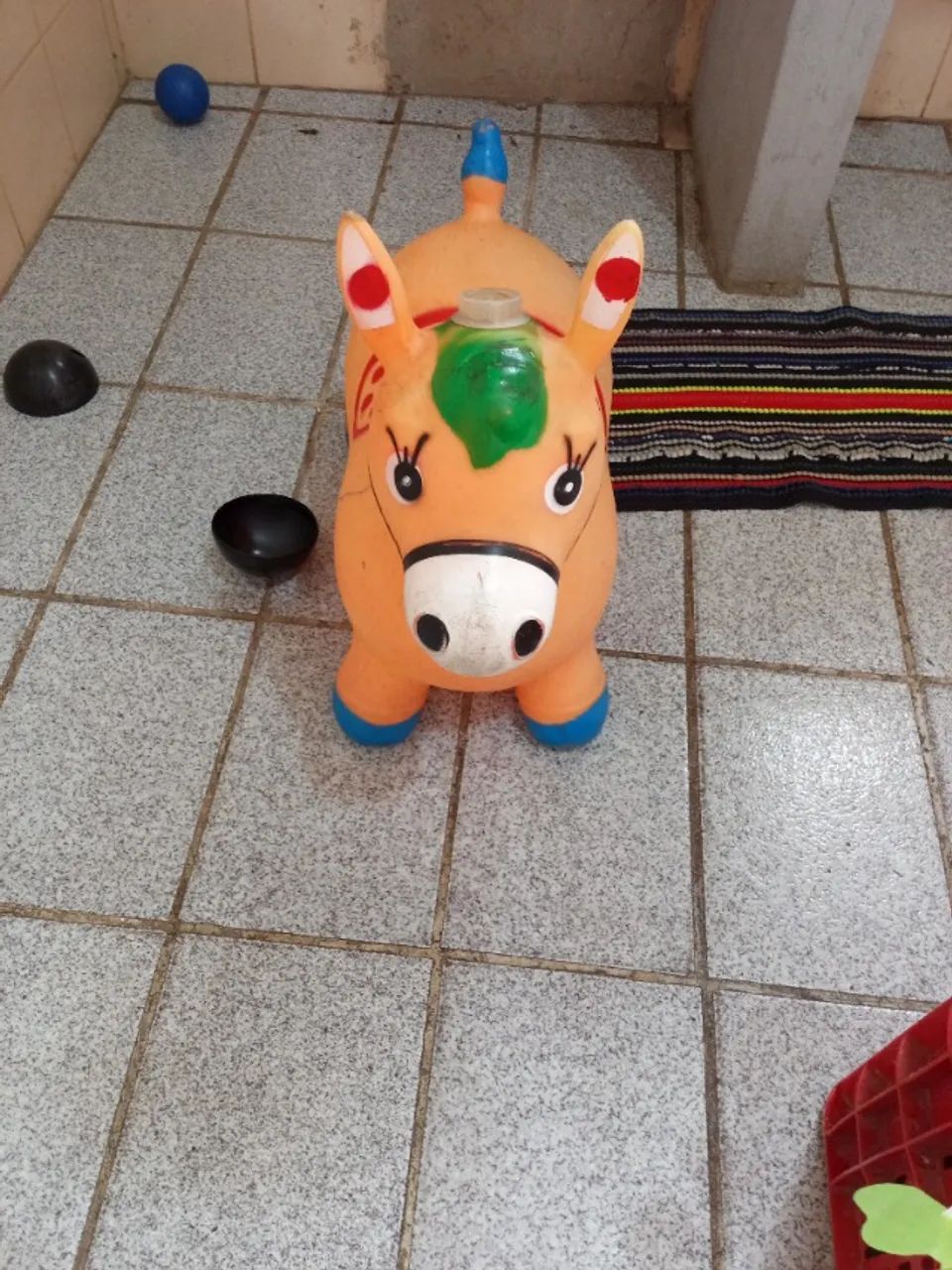 Cavalinho pocoto  - Foto 2
