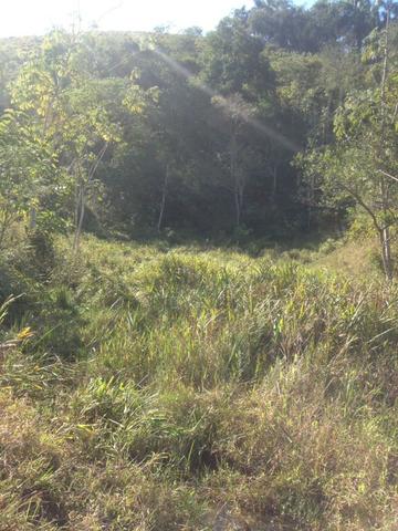 Sitio próximo a ponte do paraíba(campos do jordão) - Foto 14
