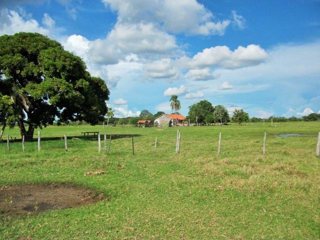 Excelente Fazenda no Pantanal do Mato Grosso do Sul - Foto 5