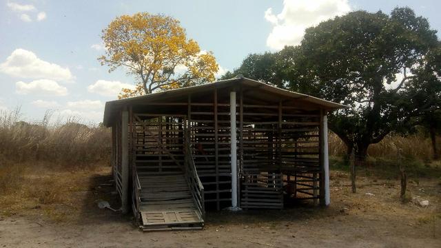 Propriedade Rural - Foto 12