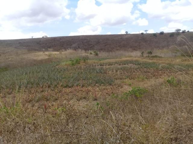 Pombos-Vend. 480 mil reais-Tem 120 Hect. Fazenda Completa,Água,Pastos, e mais - Foto 2