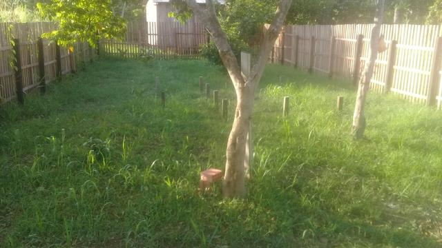 Vende se um terreno - Foto 2
