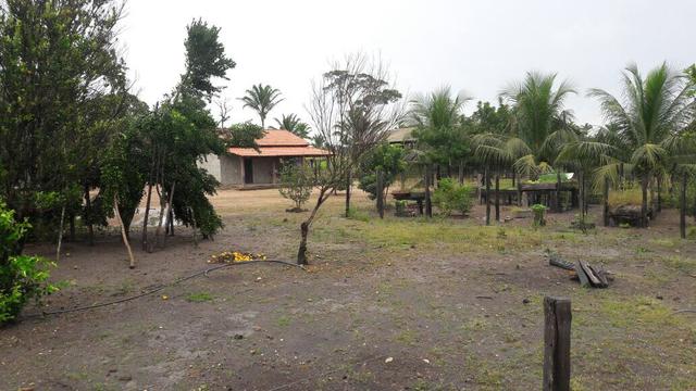 Fazenda no Pará - Foto 5