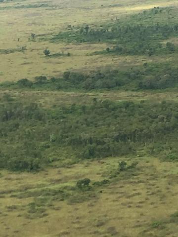 Excelente Fazenda no Pantanal do Mato Grosso do Sul - Foto 17