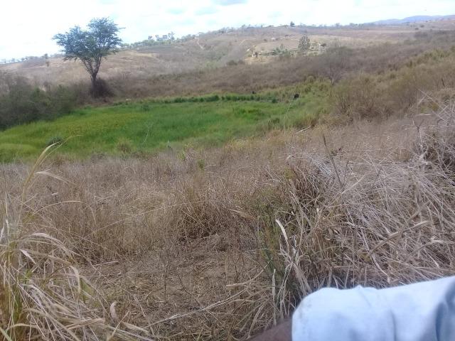 Pombos-Vend. 480 mil reais-Tem 120 Hect. Fazenda Completa,Água,Pastos, e mais - Foto 17