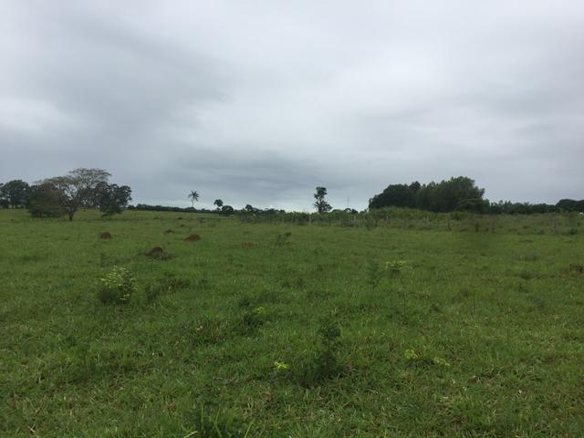 Terra município de Santa Rosa